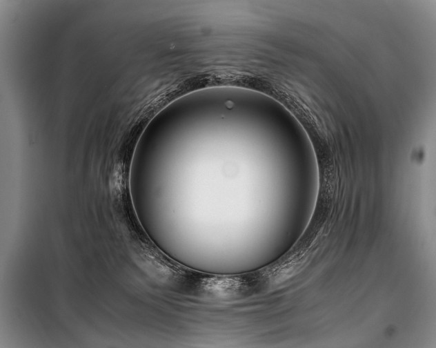X0000101170135200806271044