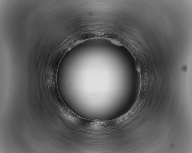 X0000101170136200806271044
