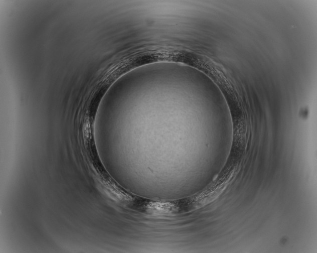 X0000101170137200806271044