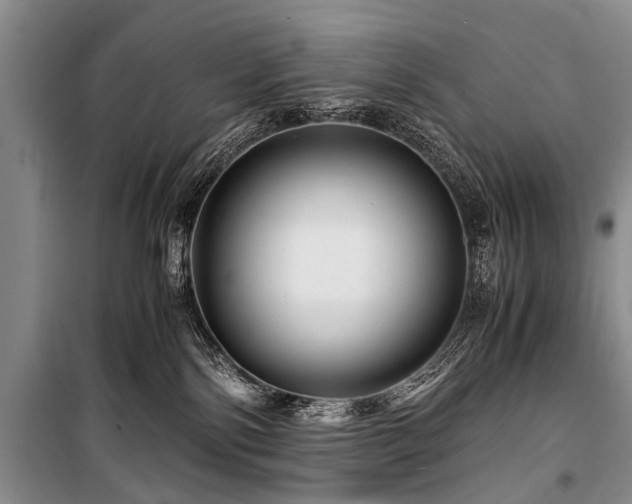 X0000101170138200806271044