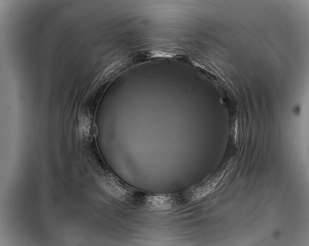 X0000101170139200806271044
