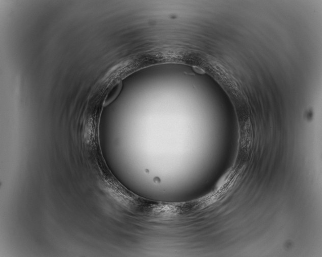 X0000101170140200806271044