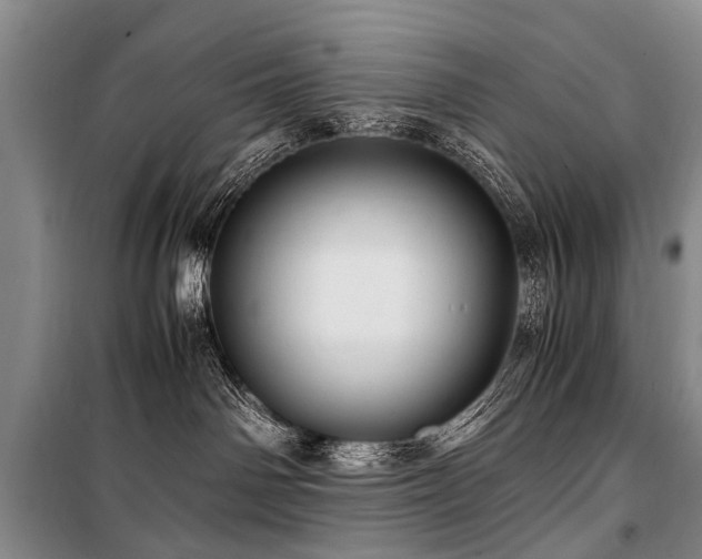 X0000101170142200806271044