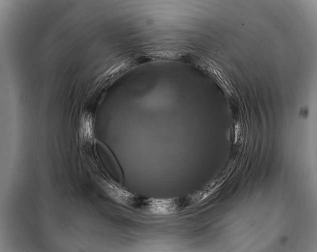 X0000101170143200806271044