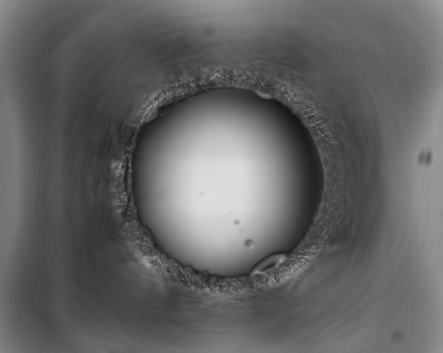 X0000101170144200806271044