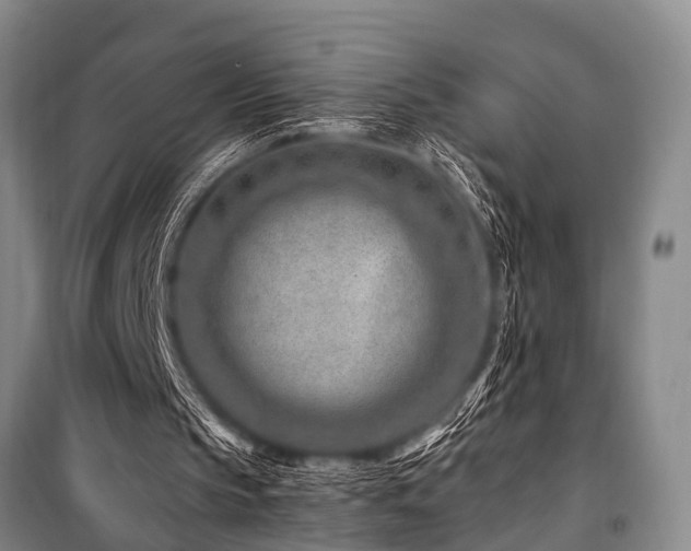 X0000101170145200806271043
