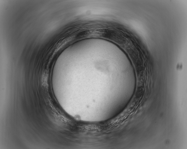 X0000101170146200806271043