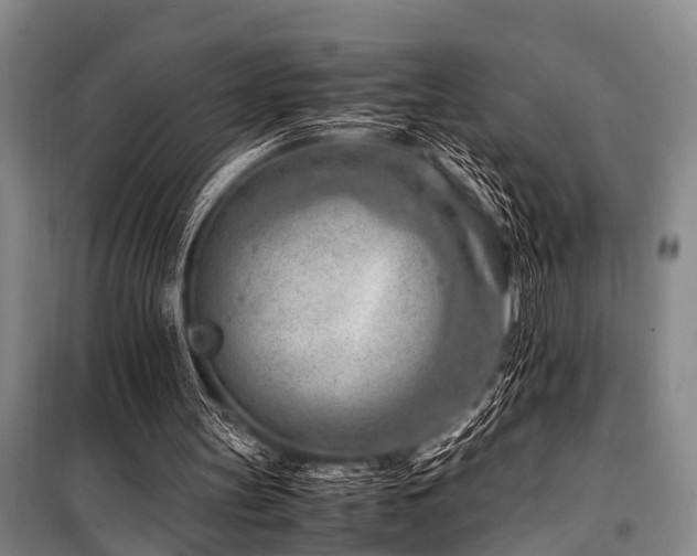 X0000101170147200806271043