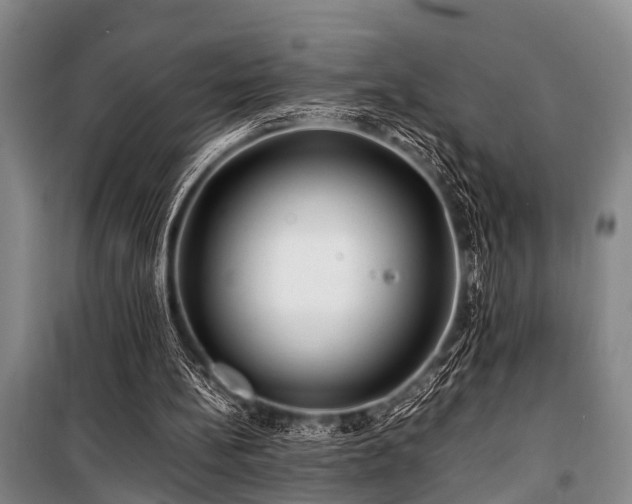 X0000101170148200806271043