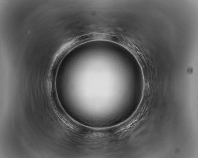 X0000101170149200806271043