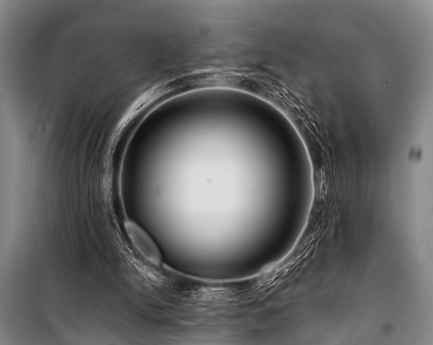 X0000101170150200806271043