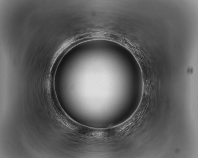 X0000101170152200806271043