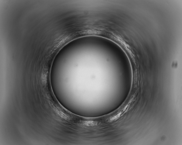 X0000101170153200806271043