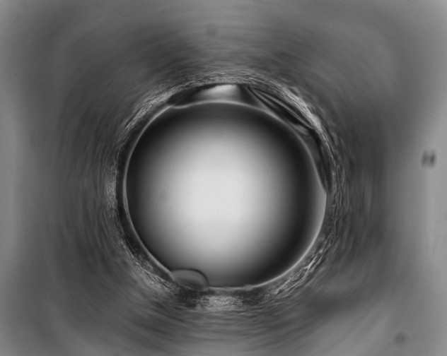 X0000101170154200806271043