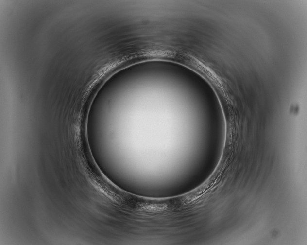 X0000101170155200806271043