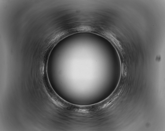 X0000101170157200806271043
