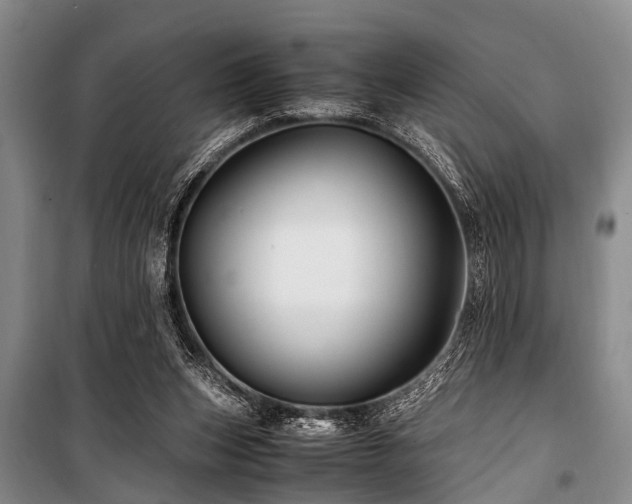 X0000101170159200806271043