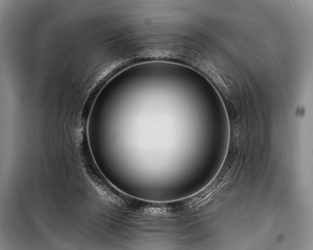 X0000101170160200806271043