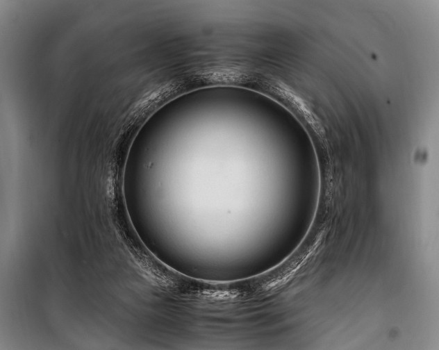 X0000101170161200806271043