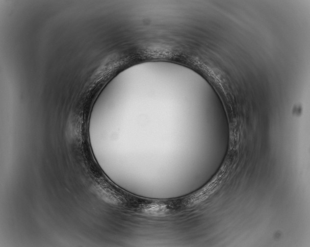 X0000101170162200806271043