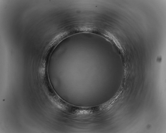 X0000101170163200806271043