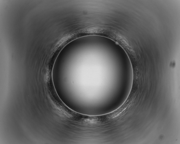X0000101170164200806271043