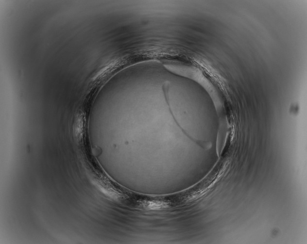 X0000101170165200806271043