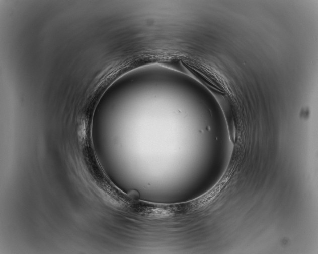 X0000101170166200806271043