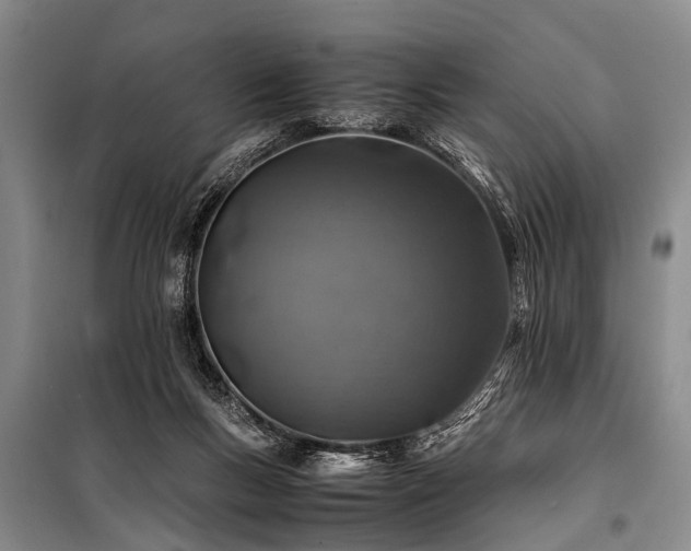 X0000101170167200806271043