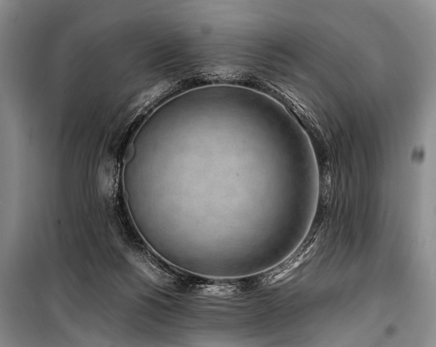 X0000101170168200806271043