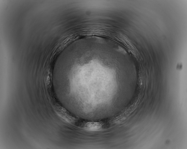 X0000101170169200806271043