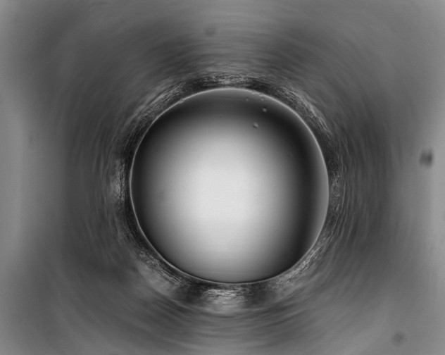 X0000101170170200806271043