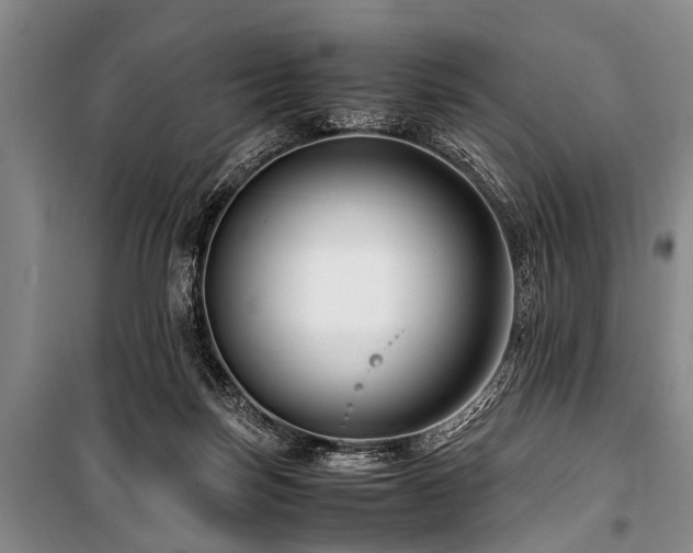 X0000101170171200806271043