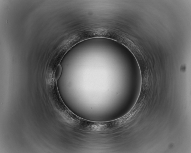X0000101170172200806271043