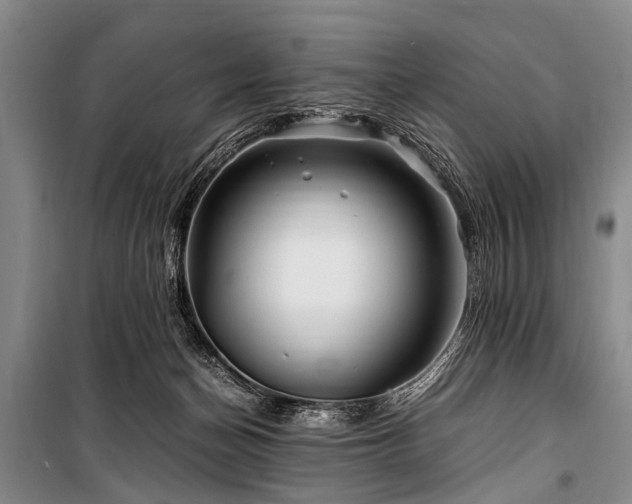 X0000101170174200806271043