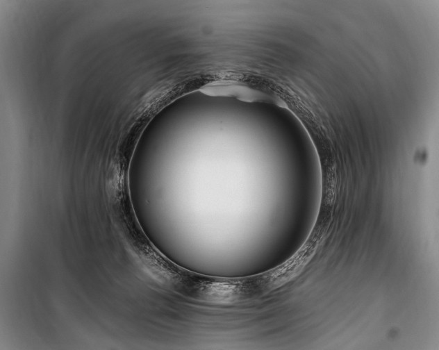 X0000101170176200806271043