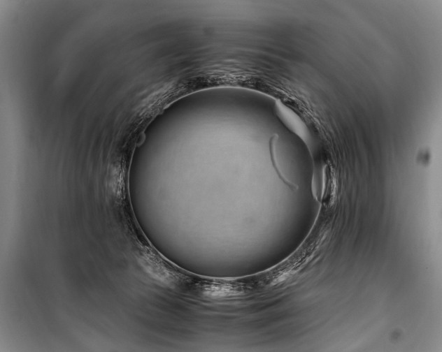 X0000101170177200806271043