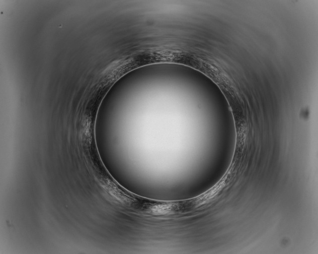 X0000101170178200806271043