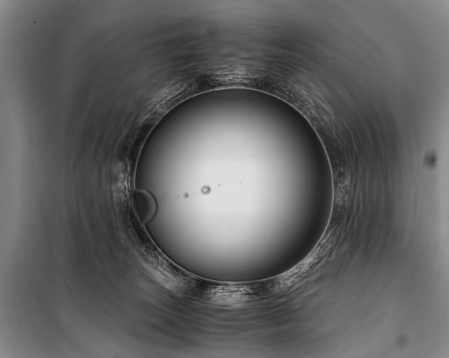 X0000101170179200806271043