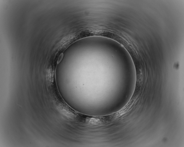 X0000101170180200806271043