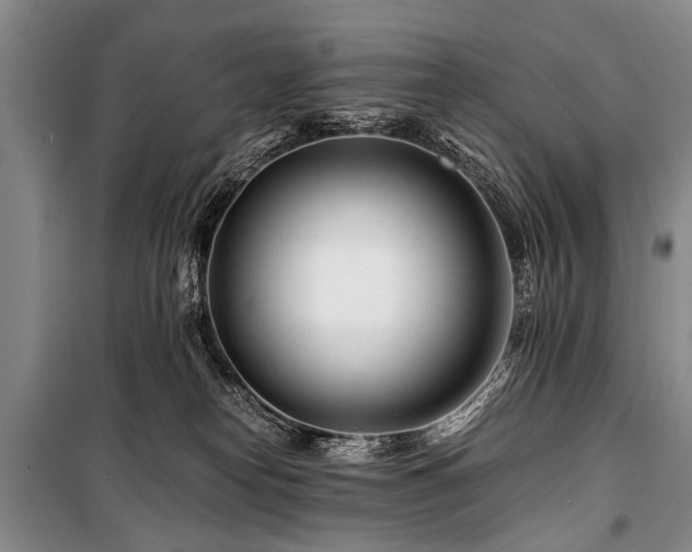 X0000101170182200806271043