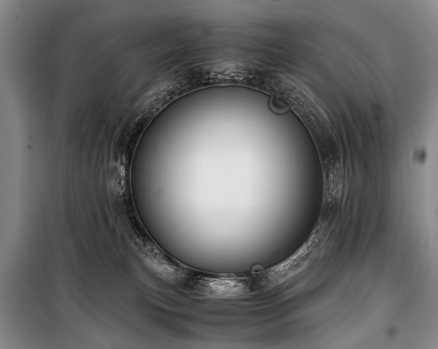 X0000101170183200806271043