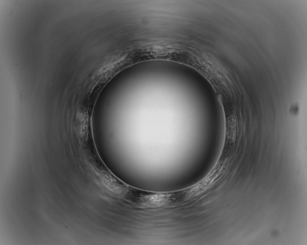 X0000101170184200806271043