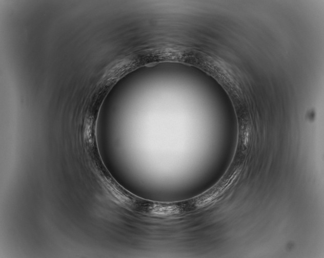 X0000101170185200806271043
