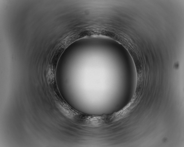 X0000101170186200806271043