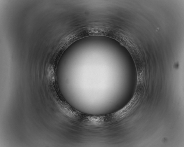 X0000101170187200806271043