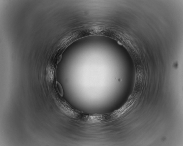 X0000101170188200806271043