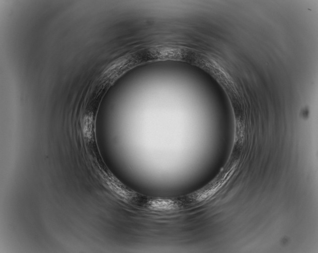 X0000101170189200806271043
