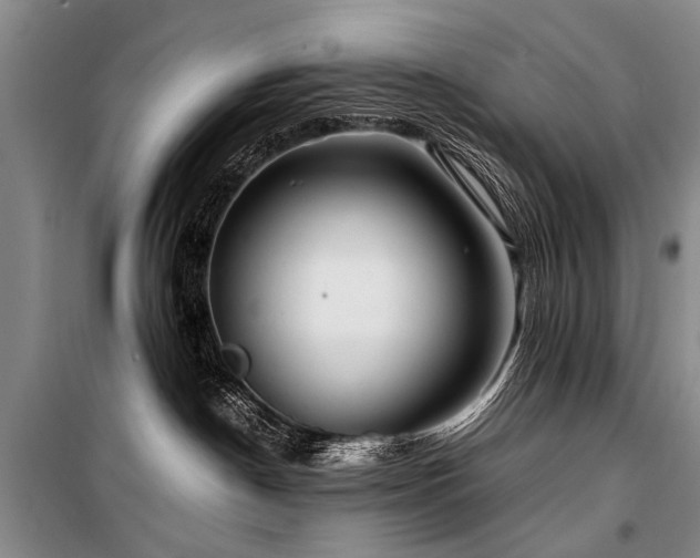 X0000101170190200806271043