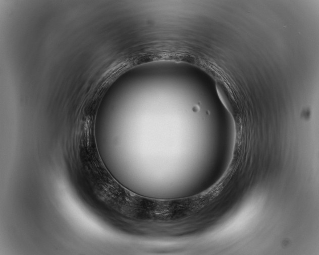 X0000101170191200806271043